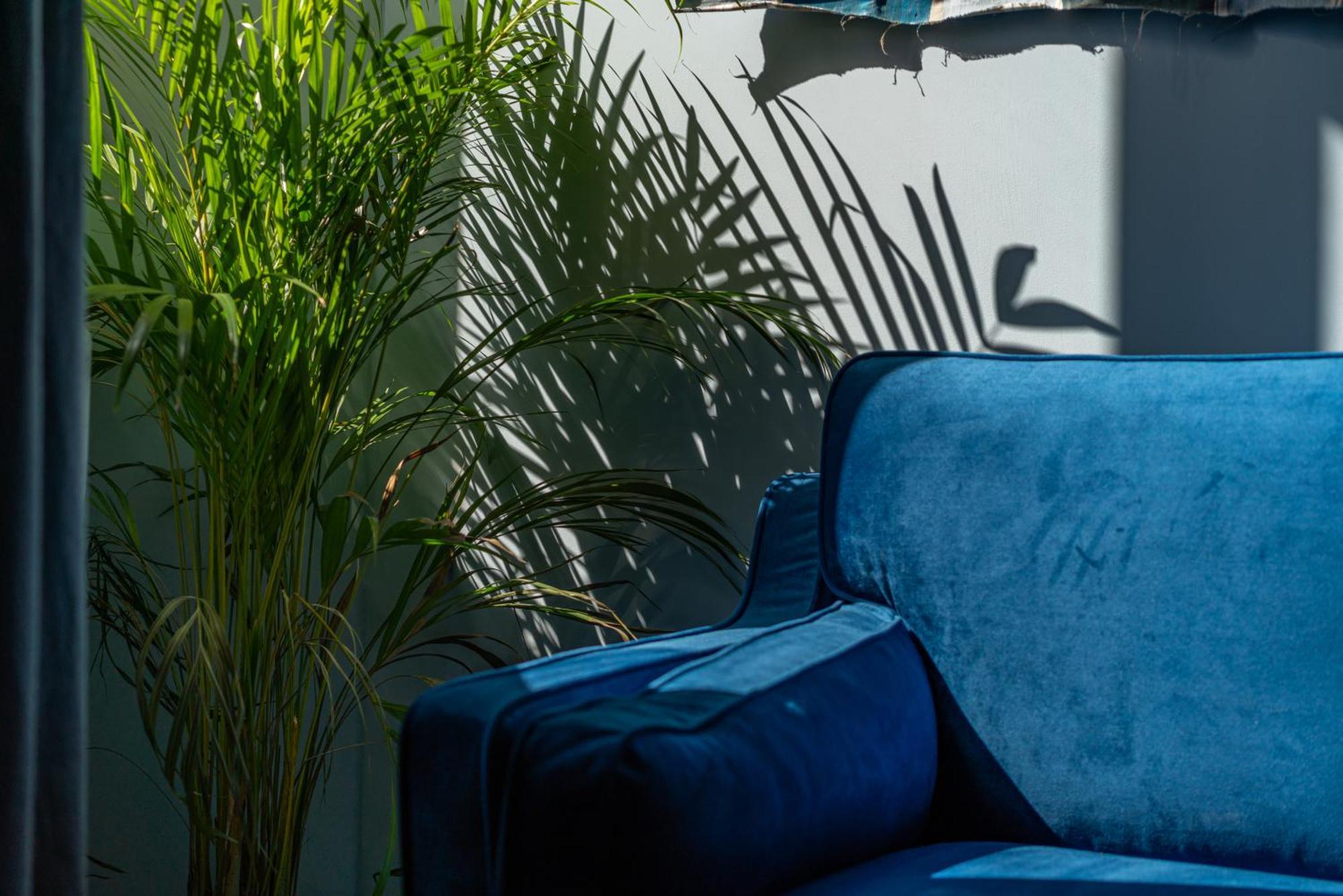 Le Bleu Jean Denim Arenes - Une Nuit A Nimes Exterior photo